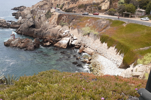 比尼亚德尔马、雷尼亚卡和康康之旅