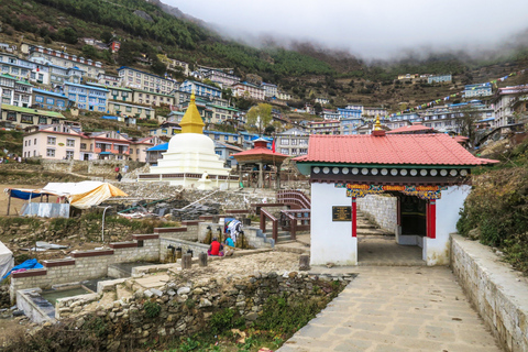 Mount Everest panoramisch uitzichttocht