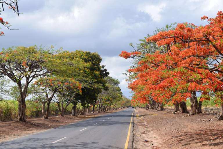 Moshi: Sugar Plantation Bike Tour