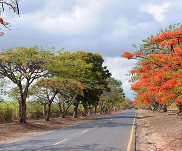 Moshi: Sugar Plantation Bike Tour