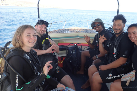 PADI Discover Scuba Diving (DSD) - beginners, Charaki Rhodes PADI DSD program 4 hours (2 dives) beginners, Charaki Rhodes