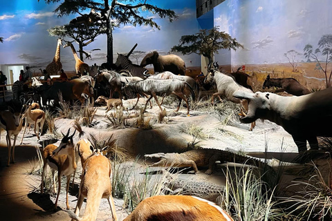 Shanghai: Natural History Museum Tour with reservation