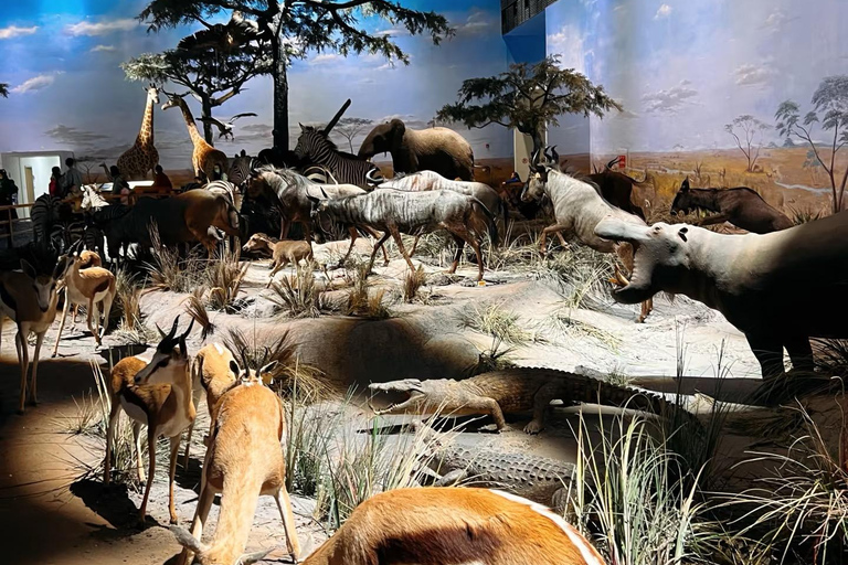 Shanghai: Tour del Museo di Storia Naturale con prenotazione