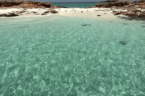 Mascate : excursion de plongée en apnée sur l&#039;île de Dimaniyat