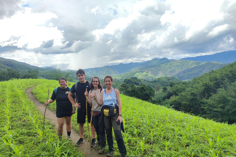 Chiang Rai: Jungle Adventure-Group Trekking & Bamboo Cooking
