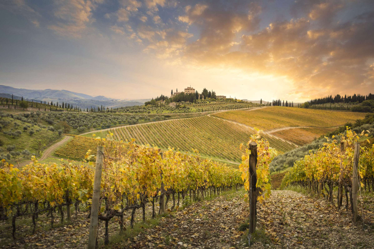 Visite privée de Pise, Sienne et Chianti depuis Florence en voiture12 heures : Pise, Sienne, San Gimignano et Chianti