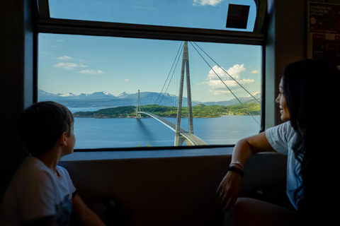 From Narvik: Arctic Train - Ofoten Line