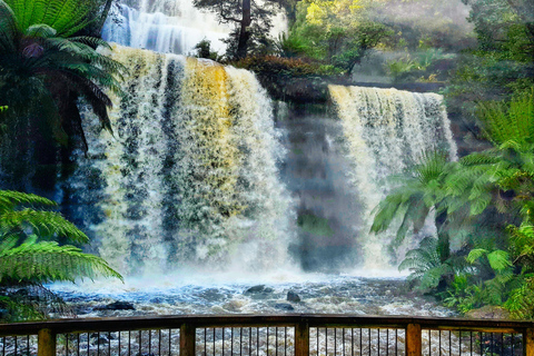 Excursión de 9 días por Tasmania en Círculo