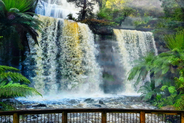 Excursión de 9 días por Tasmania en Círculo