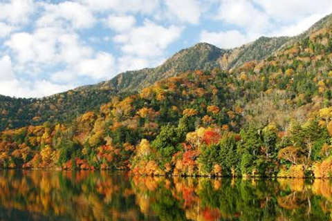 From Tokyo To Nikko Private Day Tour With English Guide