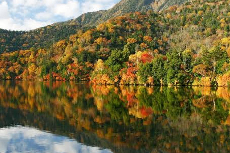 From Tokyo To Nikko Private Day Tour With English Guide