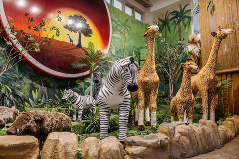 Jeju: Teddy Bear House TESEUM toegangsbewijsJeju: Teddybeerhuis TESEUM Toegangsbewijs