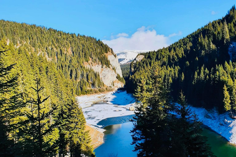 Sinaia: Ialomita Cave and Bucegi Mountains Tour