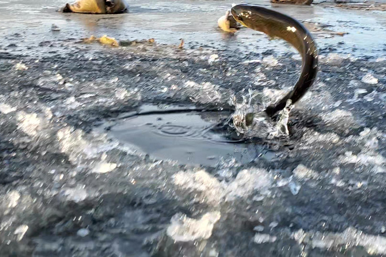 Anchorage: Ice Fishing Trip With Transportation