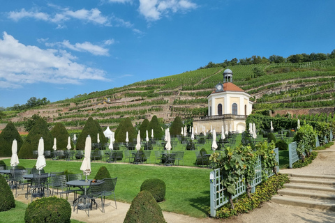 Dresden: Elbe River Cruise and Wine Tasting at Wackerbarth Palace Dresden: Elbe Cruise and Wine Tasting at Wackerbarth Palace