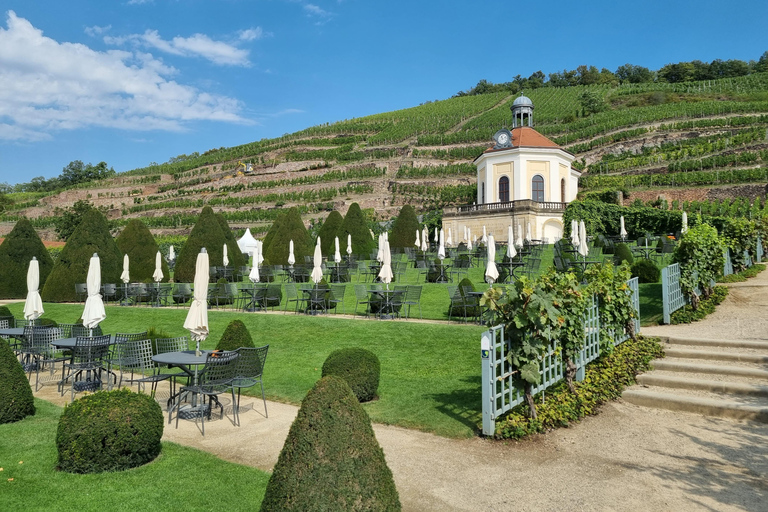 Dresden: Elbe River Cruise and Wine Tasting at Wackerbarth Palace Dresden: Elbe Cruise and Wine Tasting at Wackerbarth Palace
