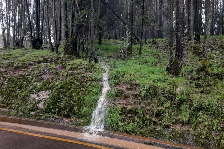 Addis Ababa: Entoto Hills Scenic Drive