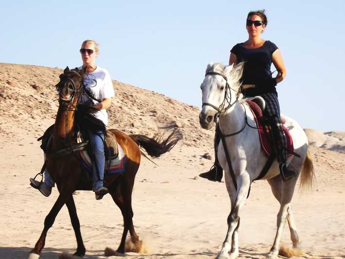 Hurghada: Arabian Desert and Sea Horseback Adventure