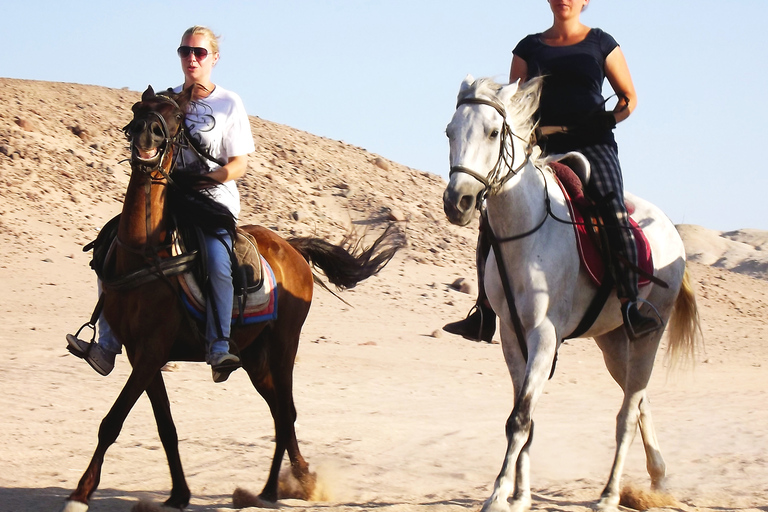 Hurghada: Avventura a cavallo nel deserto arabo e nel mareGruppo privato: pacchetto speciale - giro a cavallo di 1 ora