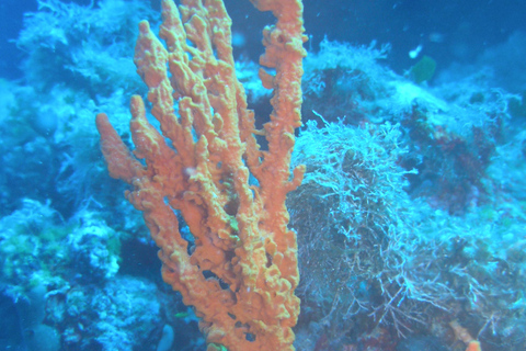 Chania: Snorkelen op een zeescooter rondvaart