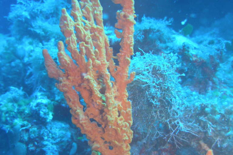 Chania: rejs wycieczkowy skuterem morskim ze snorkelingiem