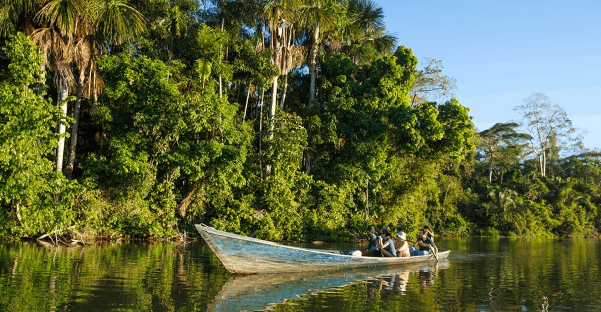 From Iquitos, Full day tour in the Peruvian jungle - Hizvo