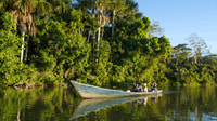 Desde Iquitos, Excursión de día completo por la selva peruana - Hizvo
