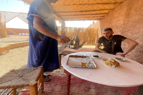 Marrakech: Excursão de meio dia em um quadriciclo no deserto com passeio de camelo