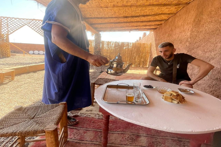 Marrakech: Excursão de meio dia em um quadriciclo no deserto com passeio de camelo