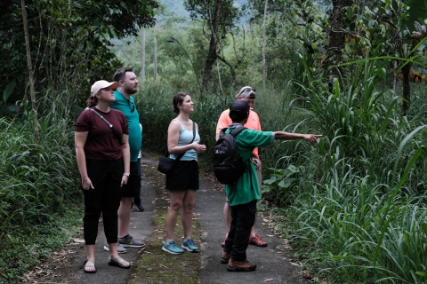 Mt. Merapi Majestät: Soft Trek und Botanic Village Tour