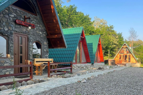 Bucharest: Transylvania Castles Tour with Dinner