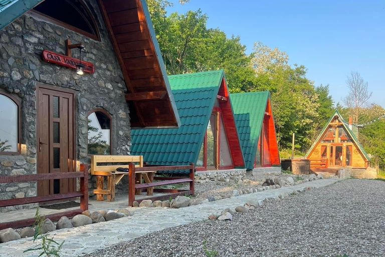 Bucharest: Transylvania Castles Tour with Dinner