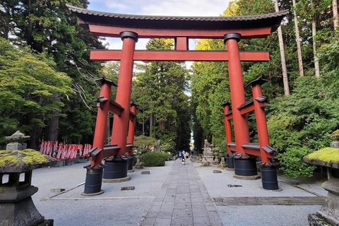 Da Tokyo: Monte Fuji Tour di un giorno personalizzato privatoTour privato del Monte Fuji completo e personalizzato con servizio di prelievo in hotel