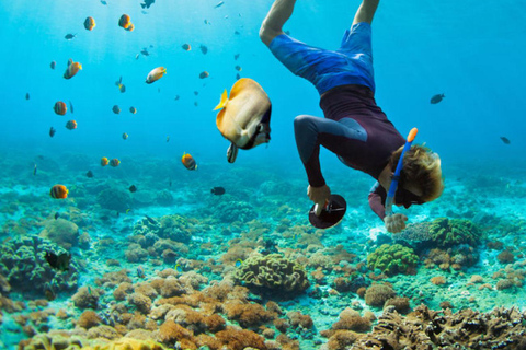 Jaco: Snorkeling Tour with White Sand Beach Visit