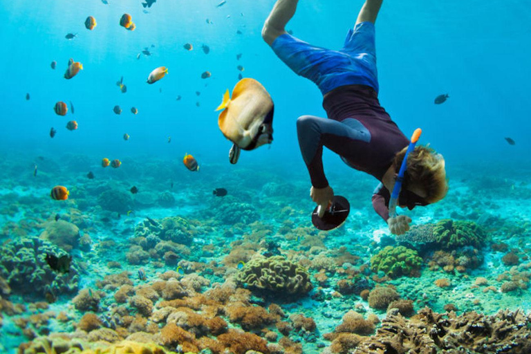 Jaco: Snorkeling Tour with White Sand Beach Visit