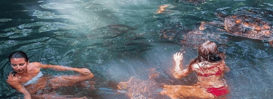 Zanzibar : visite du village de Nungwi et baignade avec les tortues