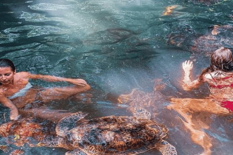 Sansibar: Nungwi Village Tour und Schwimmen mit Schildkröten