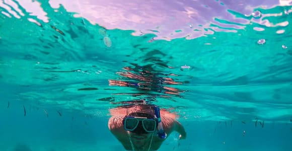 From Panglao Island: Dolphin Watching & Pamilacan Island