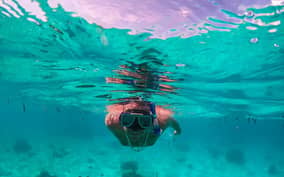  - Canarie.it