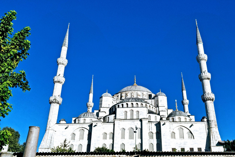 Tour guidato della Moschea Blu di Istanbul