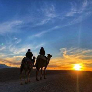 Marrakech:Camel & Quad Bike Ride with Sunset,Dinner and Show