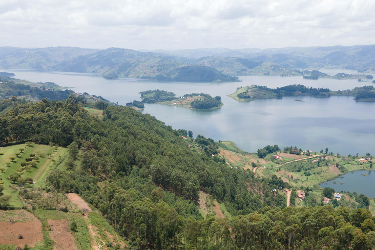 6 jours de trekking des gorilles, Queen Elizabeth et lac Bunyonyi