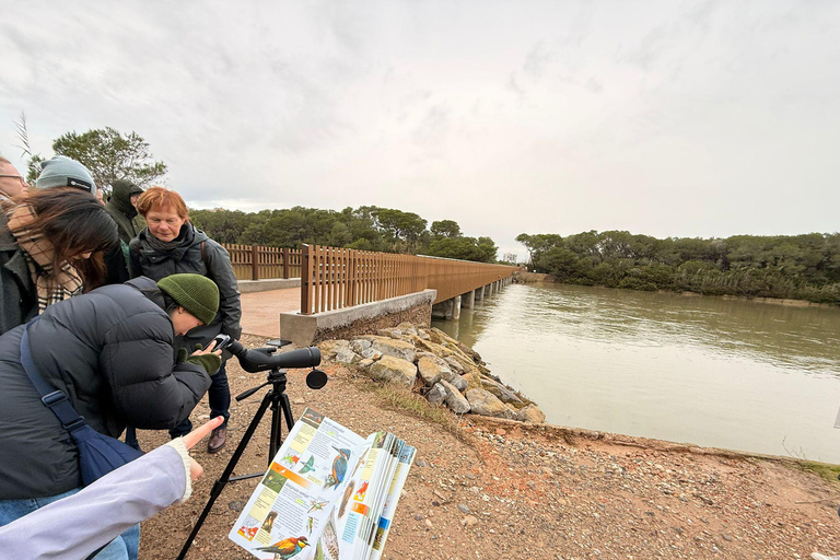 Albufera de Valencia: Mediterranean Forest and Sailing on the Albujaira