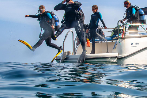 Mallorca: duiken zonder brevet met een duikinstructeur vanaf de boot - Cap de FormentorProbeer Scuba - Proefduiken
