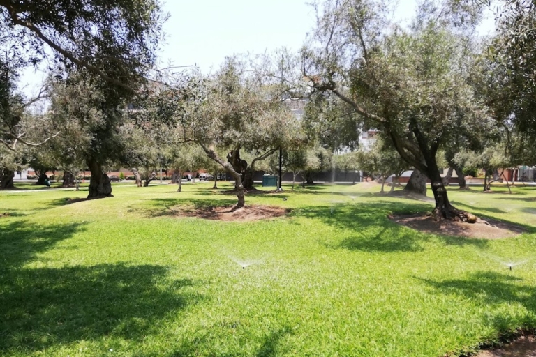 Take an hour stroll around the hidden gems of El Olivar park