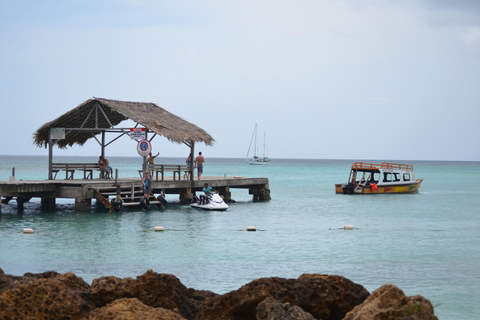 Tobago: Buccoo Reef Glass Bottom Boat TourTobago: Tour en barco con fondo de cristal por el arrecife de Buccoo