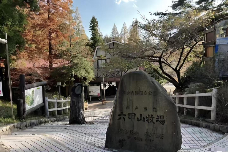 Kobe: Shore Excursion for Cruise Guest(Small Group/Private) Small Group