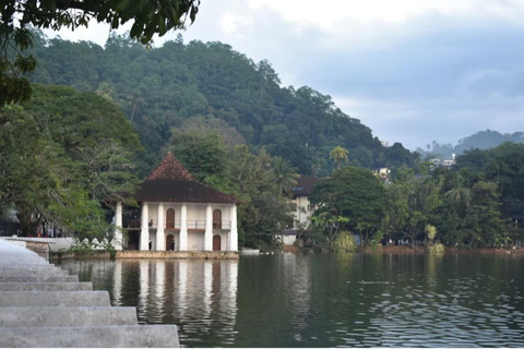 Kandy: Private Vehicle & Driver - Your Custom Route