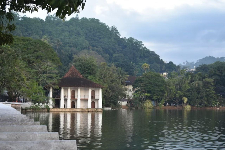 Kandy: Private Vehicle & Driver - Your Custom Route