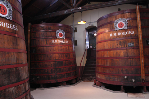 Funchal: H.M. Borges Winery Guided Tour with Wine TastingGold - 3 Tastings